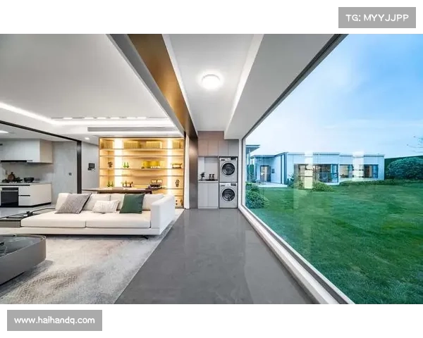 中国房地产开发企业前十名的特点及其市场影响力分析